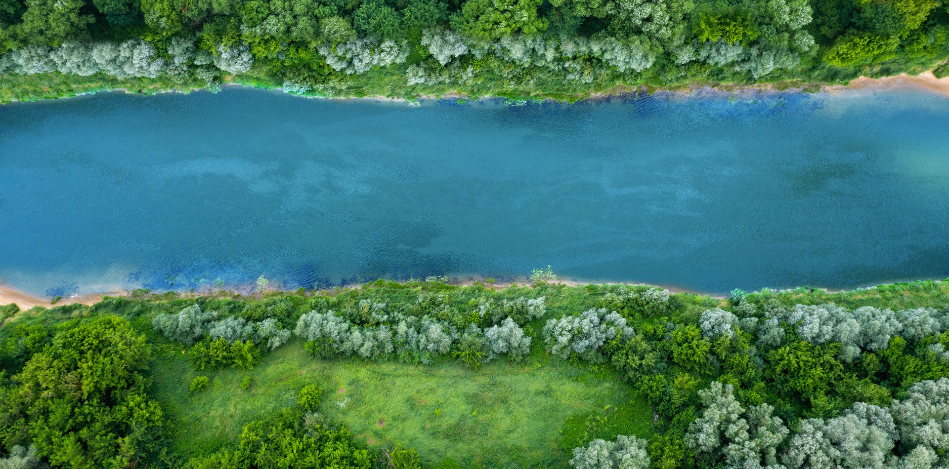 Fluss zwischen grünen Bäumen