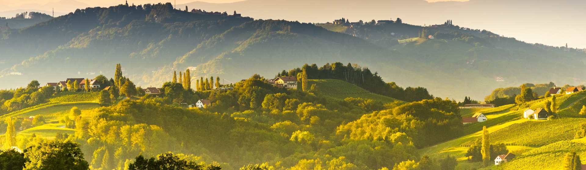 Weinlandschaft Südsteiermark Landschaftsbild