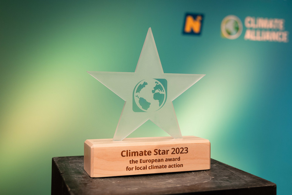 Der Climate Star Pokal mit Holzsockel und Glasstern.