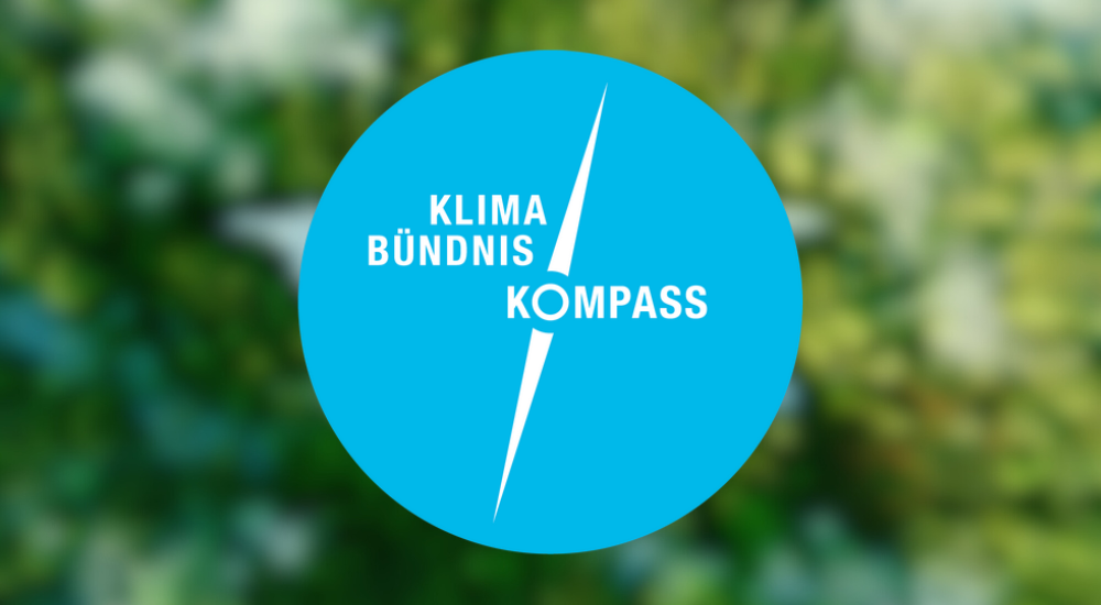 Blauer Kompass auf grünen verschwommenen Hintergrund
