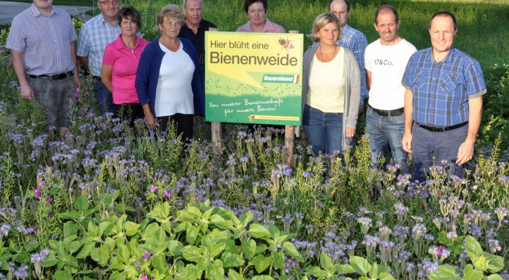 Reichenau im Mühlkreis