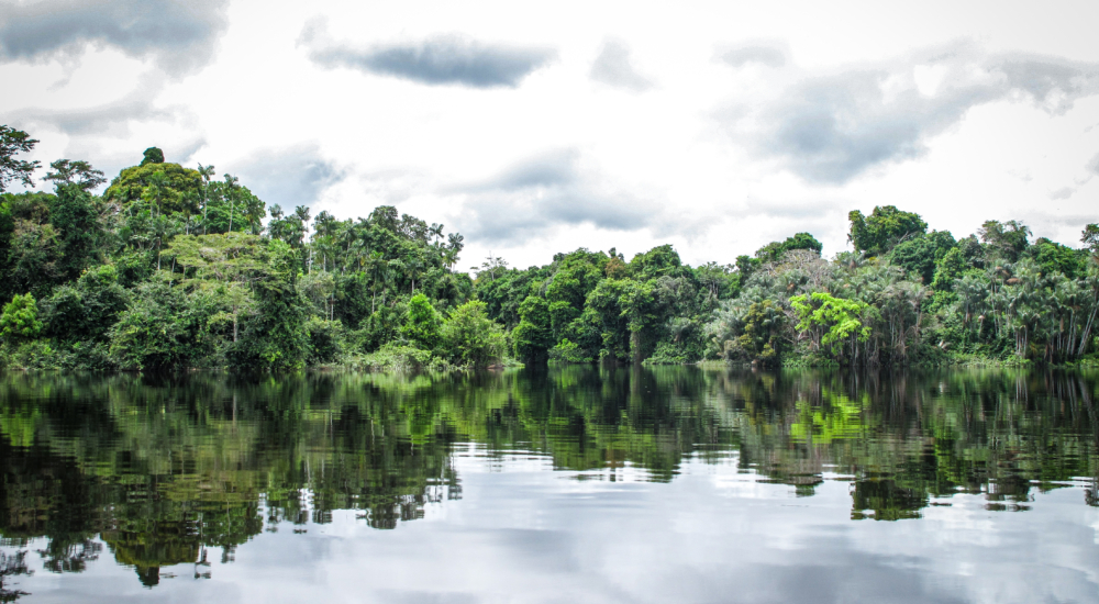 Rio Negro Partnerorganisation des Klimabündnis