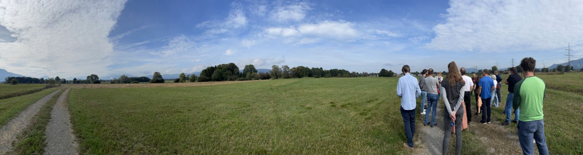 Blick über das Auer Ried