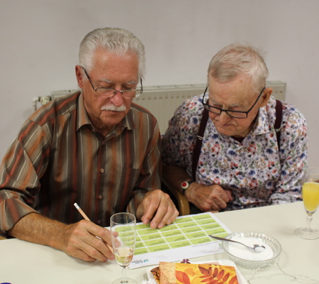 Senior:innen-Spielenachmittag in leoben