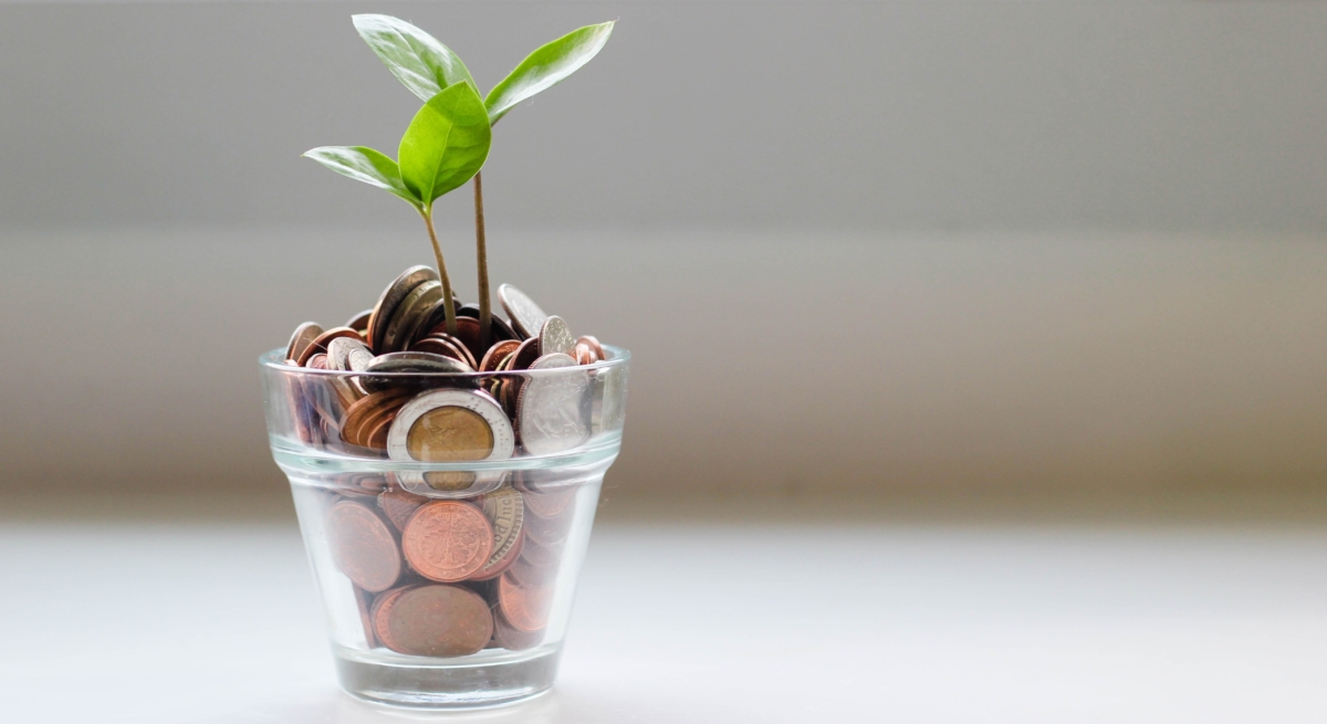 Mit Geld und einem Pflänzchen gefülltes Glas