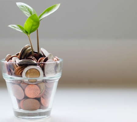Mit Geld und einem Pflänzchen gefülltes Glas