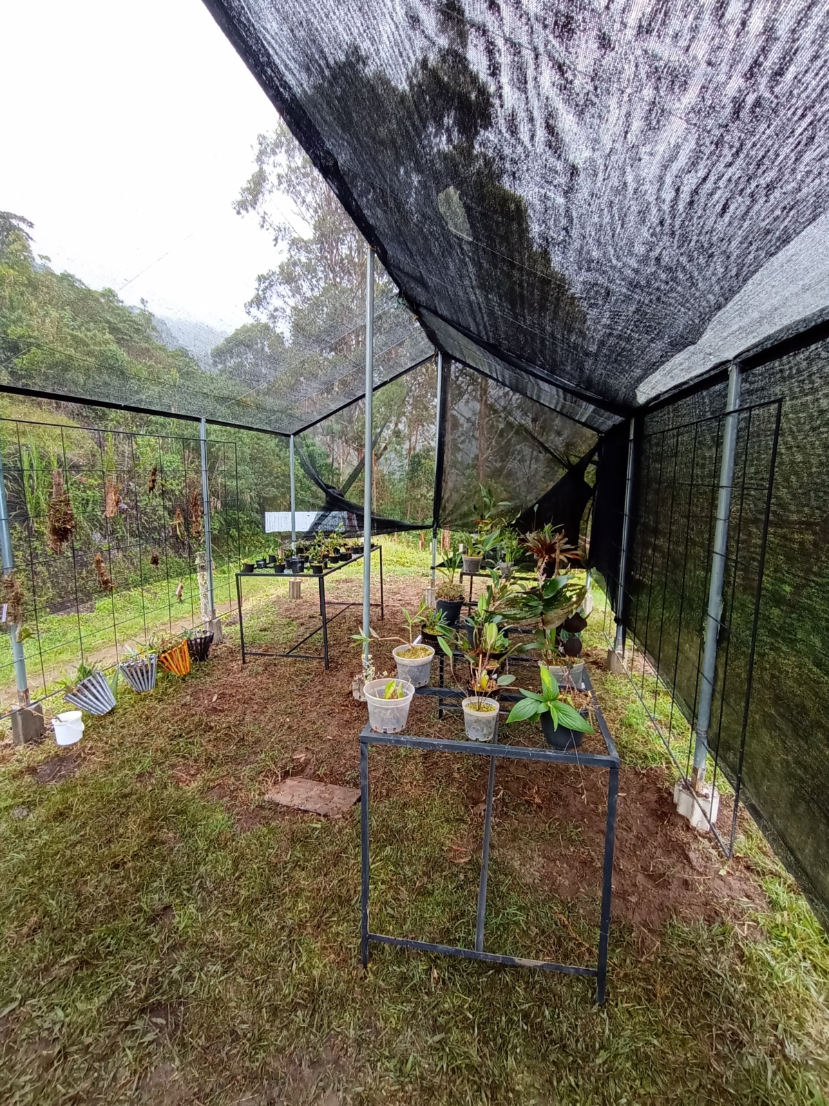 Orchideenhaus, das mit Unterstützung der Klimabündnis Vorarlberg und des Ministeriums für Wissenschaft und Technologie restauriert wurde