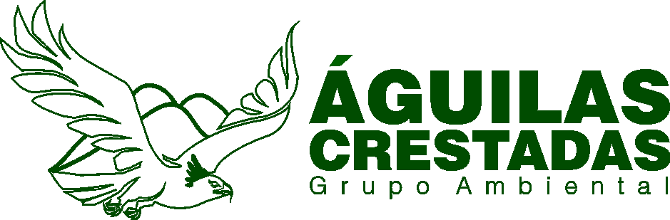 Grupo juvenil Aguilas Crestadas