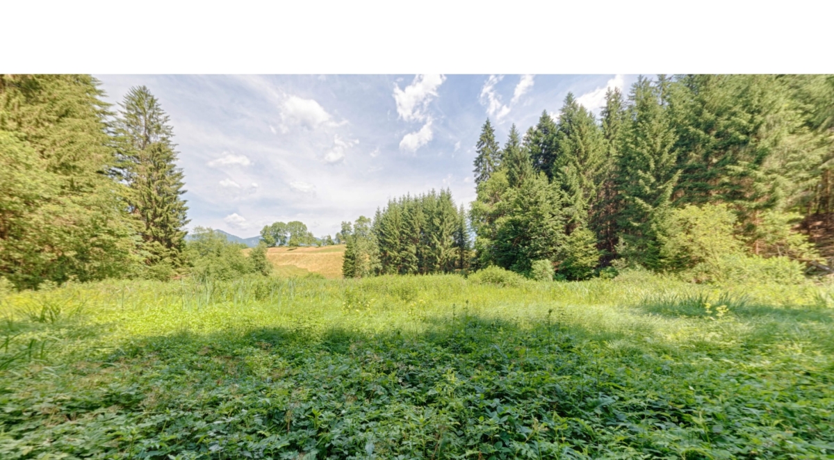 Blick auf das Haslacher Moor