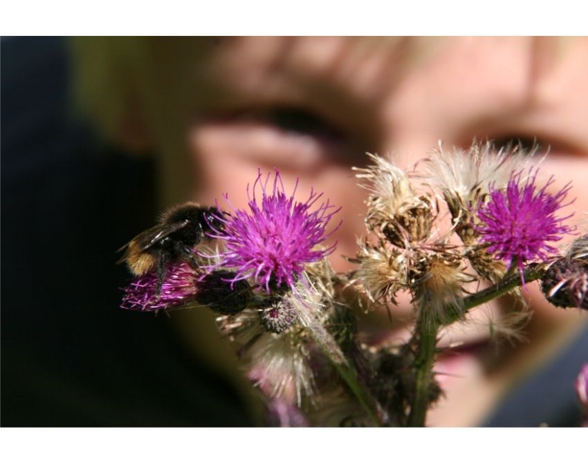 Kind bestaunt eine Hummel auf einer Blume