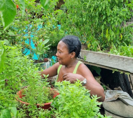 Saberes ancestrales y agricultura-Altes Wissen und Landwirtschaft.